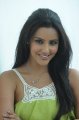 Actress Priya Anand New Pictures