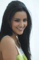 Actress Priya Anand New Pictures