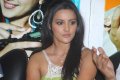 Actress Priya Anand New Pictures