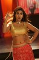 Actress Priya Augustin Item Dance @ Erra Cheera Movie Song Shooting Photos