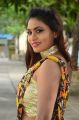 Actress Priya Augustin Saree Photos @ National Silk Expo 2018 Launch