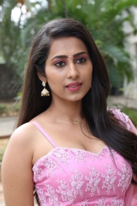 Nuvve Naa Pranam Actress Priya Hegde Photos