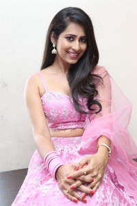 Nuvve Naa Pranam Actress Priya Hegde Photos