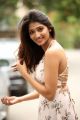 Telugu Actress Priya Vadlamani Photoshoot Hot Images