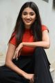 Actress Priya Vadlamani Cute Photo Shoot Stills