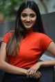 Actress Priya Vadlamani Latest Photo Shoot Stills