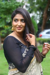 Veeranjaneyulu Viharayatra Actress Priya Vadlamani Saree Photos