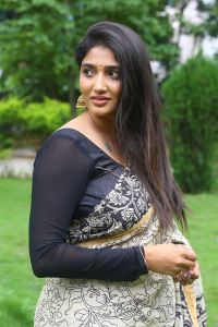 Actress Priya Vadlamani Saree Photos @ Veeranjaneyulu Viharayatra Trailer Launch