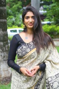 Veeranjaneyulu Viharayatra Actress Priya Vadlamani Saree Photos