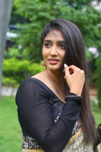 Veeranjaneyulu Viharayatra Actress Priya Vadlamani Saree Photos