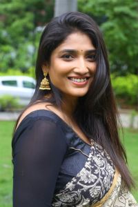 Veeranjaneyulu Viharayatra Actress Priya Vadlamani Saree Photos