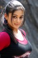 Cute Priyamani Beautiful Pics