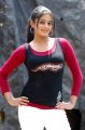 Cute Priyamani Pics