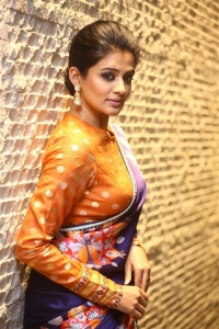 Bhama Kalapam Movie Actress Priyamani Saree Pics