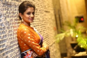 Actress Priyamani Saree Pics @ Bhama Kalapam Trailer Launch