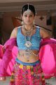 Actress Priyamani Hot Photos in Chandi Movie