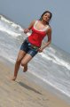 Maharani Priyamani Hot Pics