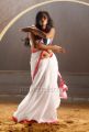 Actress Priyamani Spicy Hot Saree Photos in Tikka Movie