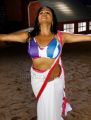 Actress Priyamani Hot Saree Photos in Tikka Movie