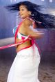 Tikka Movie Actress Priyamani Spicy Hot Saree Photos