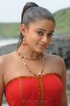 Priyamani New Hot Spicy Photos