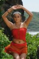 Priyamani New Hot Spicy Photos