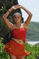 Priyamani New Hot Spicy Photos