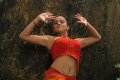 Priyamani New Hot Spicy Photos