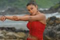 Priyamani New Hot Spicy Photos