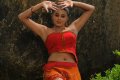 Priyamani New Hot Spicy Photos