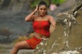 Priyamani New Hot Spicy Photos