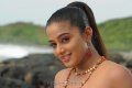 Priyamani New Hot Spicy Photos