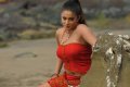 Priyamani New Hot Spicy Photos