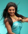 Tamil Actress Priyamani in Jewellery Ad Photoshoot Gallery