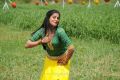 Tamil Actress Priyamani Recent Hot Images