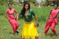 Tamil Actress Priyamani Recent Hot Images