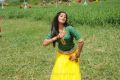 Tamil Heroine Priyamani Recent Hot Images