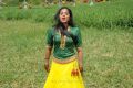 Tamil Actress Priyamani Recent Hot Images