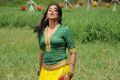 Tamil Heroine Priyamani Recent Hot Images