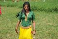 Tamil Actress Priyamani Recent Hot Images