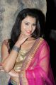 Telugu Actress Priyanka Hot Stills @ Adi Lekka Audio Release Function