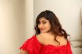 Prema Antha Easy Kadu Actress Priyanka Augustin Photos