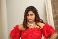 Actress Priya Augustin Photos @ Prema Antha Easy Kadu Press Meet