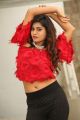 Actress Priyanka Augustin Hot Photos @ Prema Antha Easy Kadu Press Meet