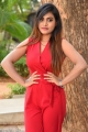 Actress Priyanka Augustin Pictures @ Super Power Trailer Launch