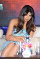 Telugu Actress Priyanka Chopra Latest Photos