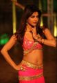 Actress Priyanka Chopra Hot Photos in Toofan Movie