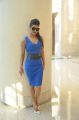 Actress Priyanka Chopra in Blue Dress Hot Pics