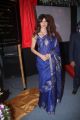 Priyanka Chopra Hot Photos in Traditional Blue Saree