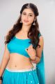 Actress Priyanka Jawalkar Hot in Blue Saree Photoshoot Stills